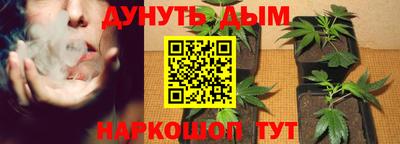 PSILOCYBIN Будённовск