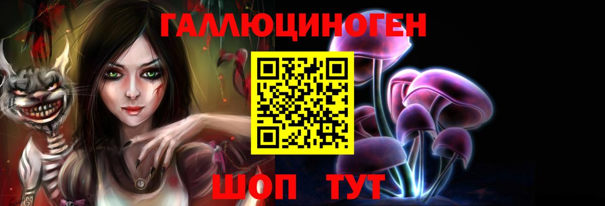 Галлюциногенные грибы Psilocybine cubensis Кирово-Чепецк